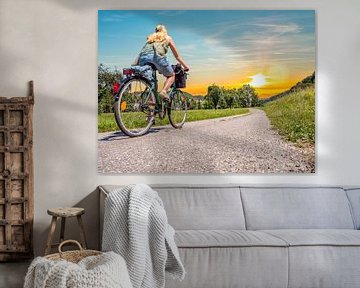 jeune femme à vélo sur la piste cyclable du Danube sur Animaflora PicsStock