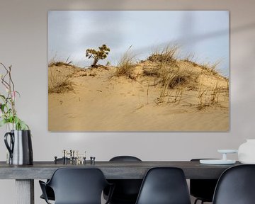 The dune in the Hulshorster Zand on the first day of spring by Hans de Waay