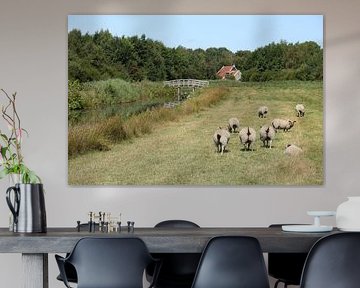 Moutons dans la prairie