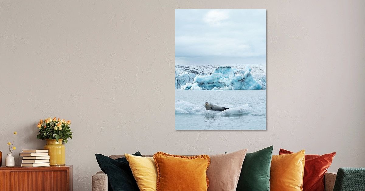 Robbe auf einer Eisscholle im Gletschersee auf Leinwand, Teun von mehr Janssen | Heroes Jokulsarlon, Art Poster und ArtFrame, Island