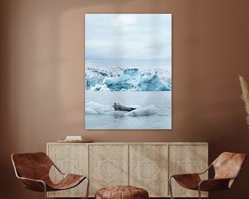 Phoque sur un floe dans le lac du glacier Jokulsarlon, Islande sur Teun Janssen