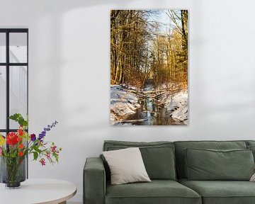 la forêt en boucle d'eau en hiver