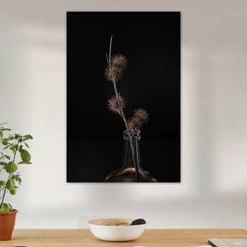 Distel in Vase