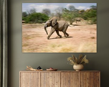 Olifant, rennend baby olifantje.lif van Louis en Astrid Drent Fotografie