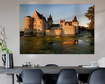 Chateau Sully sur Loire