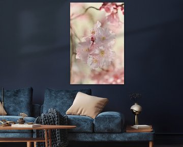 Fleur de cerisier japonais sur Violetta Honkisz