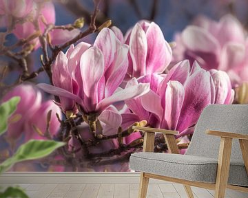 Bloemblaadjes van magnolia in de lente van Dieter Walther