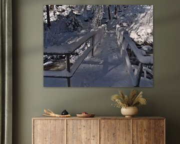 Bevroren brug in het Zwarte Woud van Timon Schneider