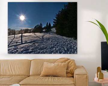 Sneeuwvlokken op het Schauinsland van Timon Schneider