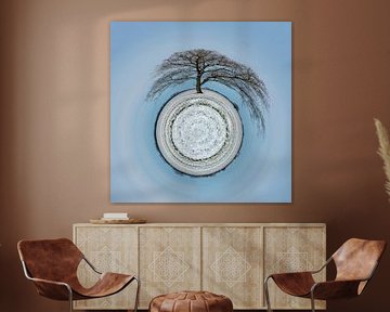 Tiny Tree Planet