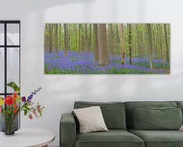 Fleurs de campanules sur le sol de la forêt au printemps sur Sjoerd van der Wal Photographie