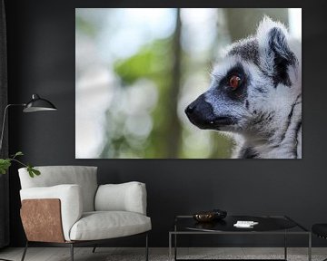 Lemur von De fotograafer