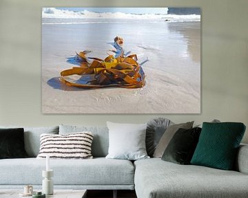 Zeewier op het strand van Homemade Photos
