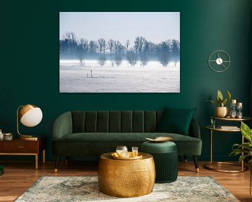 Snow, wind and trees by Jan Kooreman