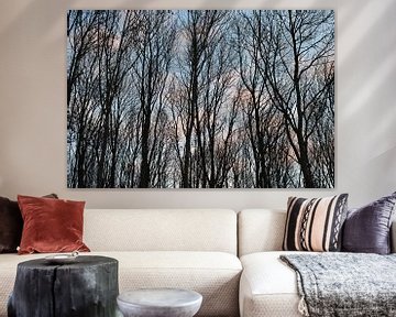 Trees with soft pink and blue sky by Foto Studio Labie