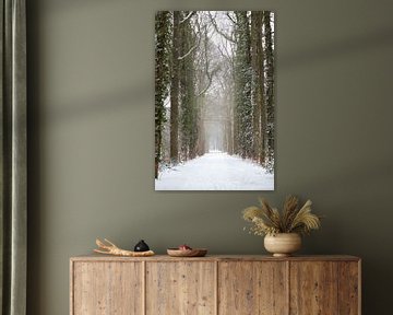 Bosweg in een winterlandschap bedekt met sneeuw | fine art foto print van Karijn | Fine art Natuur en Reis Fotografie