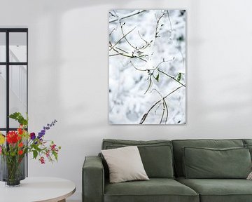 Winters bos in een wit landschap bedekt met sneeuw | fine art foto print van Karijn | Fine art Natuur en Reis Fotografie