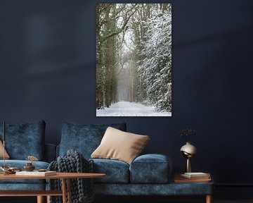 Winters landschap, bos bedekt onder een laag sneeuw | fine art foto print