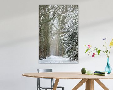Winters landschap, bos bedekt onder een laag sneeuw | fine art foto print