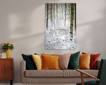 berkenbos in een winters landschap | fine art foto print van Karijn | Fine art Natuur en Reis Fotografie