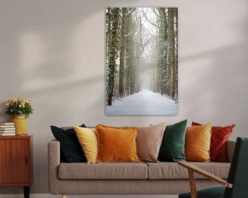 Bosweg in de winter, bedekt met sneeuw | fine art foto print van Karijn | Fine art Natuur en Reis Fotografie
