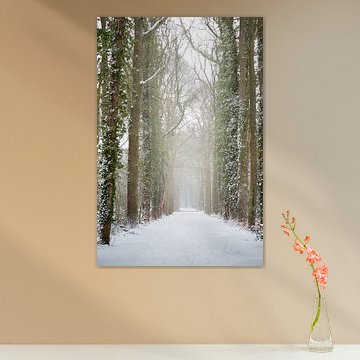 Forest road in winter, covered with snow | fine art photo print