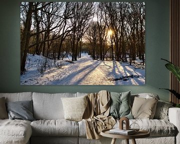 Landschap sneeuw in de bossen van WeVaFotografie