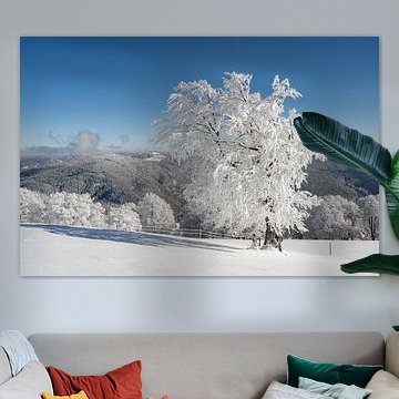 Winter in the Black Forest