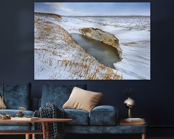 Verlaten winters landschap van Peter Bolman