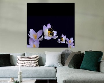Sleeping bumblebee van Foto Studio Lyn Labie