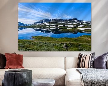 Hardangervidda by Joke Beers-Blom