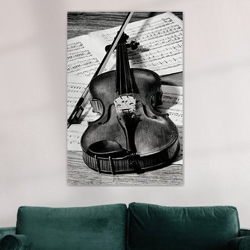 violon en noir et blanc