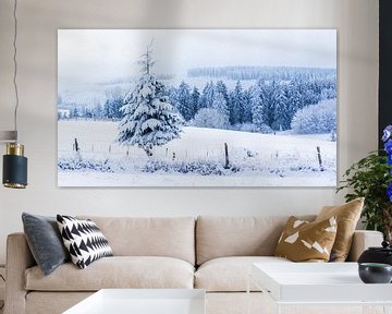 Winterlandschaft von Thomas Procek