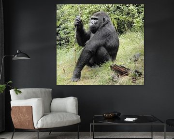 Gorilla van Richard Brinkman