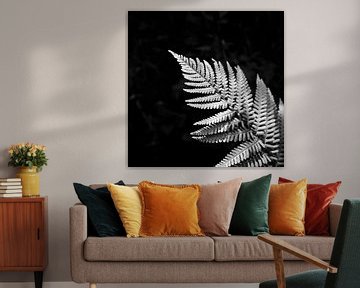 Varenblad in moody zwart-wit | botanische print van ellenklikt