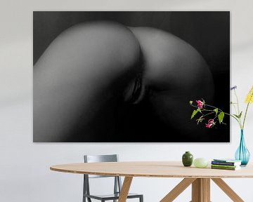 Artistiek Naakt van een Vagina en Billen in Low Key Bodyscape van Art By Dominic