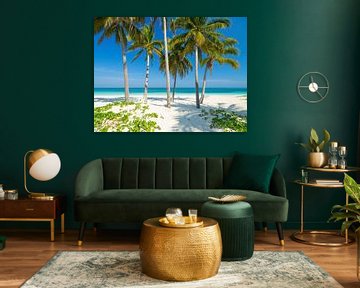 Palm trees on the beach of tropical paradise Cay Levisa