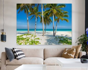 Palmen am Strand des Tropenparadieses Cay Levisa von Teun Janssen