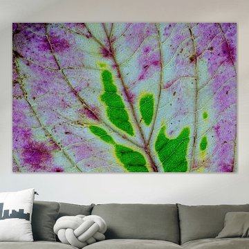 Autumn leaves with veins