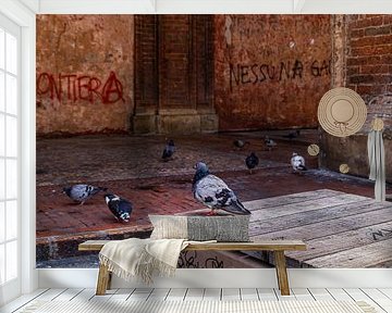Duiven bij Santi Bartolomeo / Pigeons at Santi Bartolomeo van Klaske Kuperus