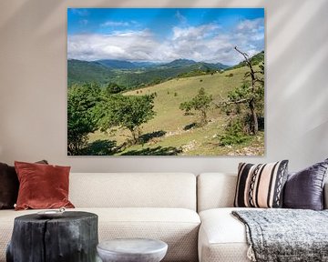 Paysage vallonné avec des chevaux dans la prairie sur Martijn Joosse