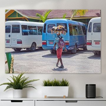 Handyhüllen-Verkäufer in Black River