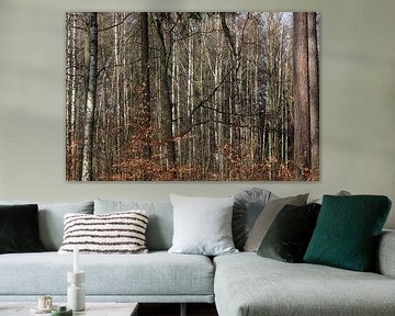 Forêt sur Thomas Jäger