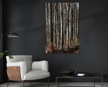 Forêt sur Thomas Jäger
