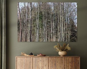 Forêt sur Thomas Jäger