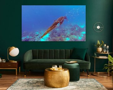 Caribbean Reef Squid by Moats Design