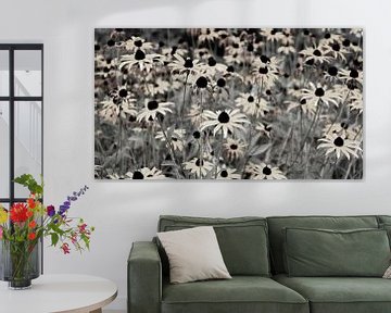 Flower field natural black white by Bianca ter Riet