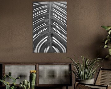 Abstract patroon op een blad in zwart wit. Botanische natuurfotografie, urban jungle art print.
