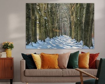 Winter in het bos van Moetwil en van Dijk - Fotografie