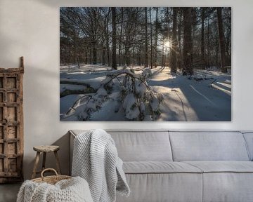 Winterlandschap van Moetwil en van Dijk - Fotografie